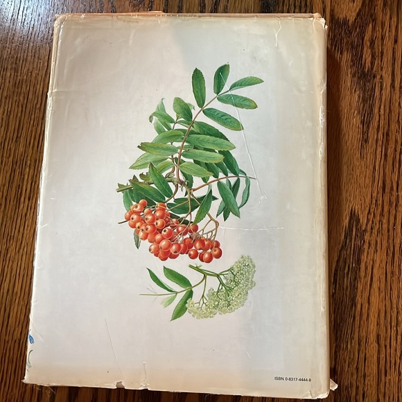 The illustrated book of herbs, their medicinal and culinary uses hard cover - Picture 3 of 14